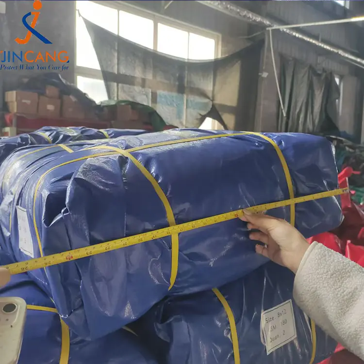 180g Tenebrosi Blue Silver Tarpaulin