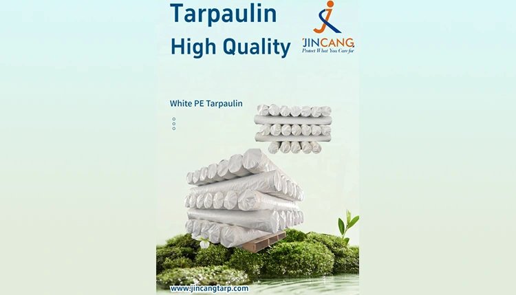 Key Guidelines enim usura Waterproof Pho Tarpaulins