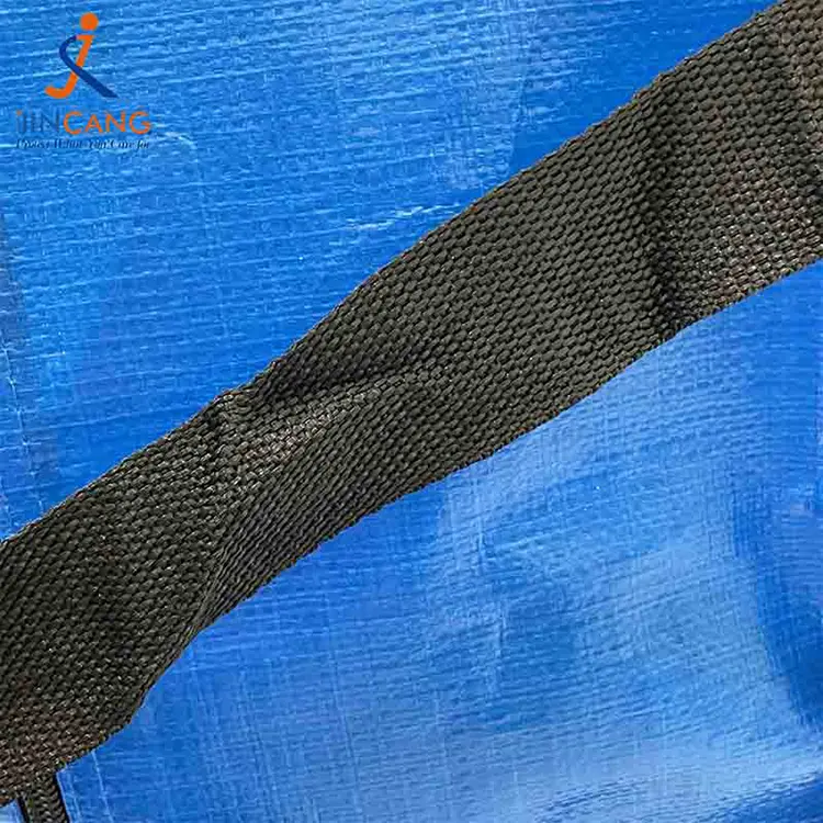 Extra magna movens sacculos