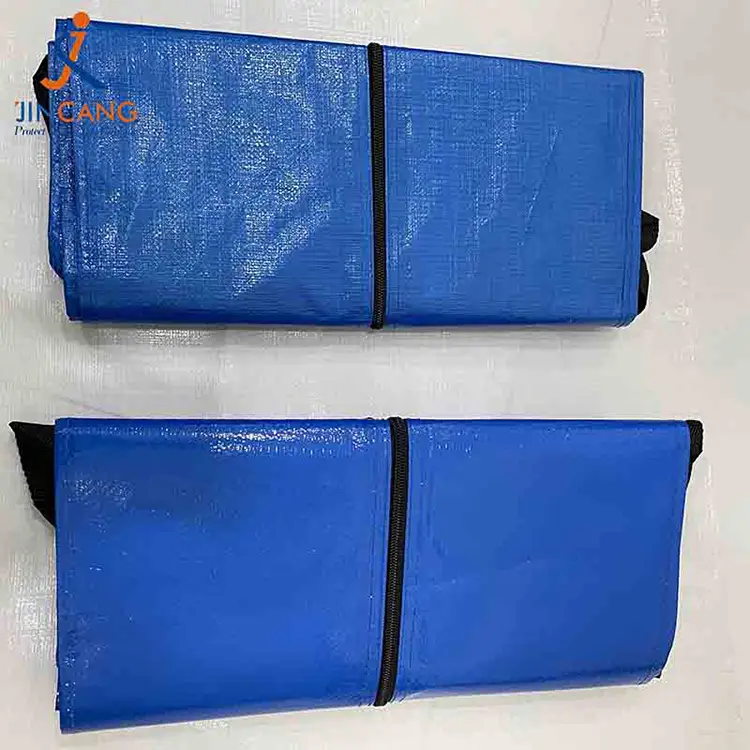 Extra magna movens sacculos