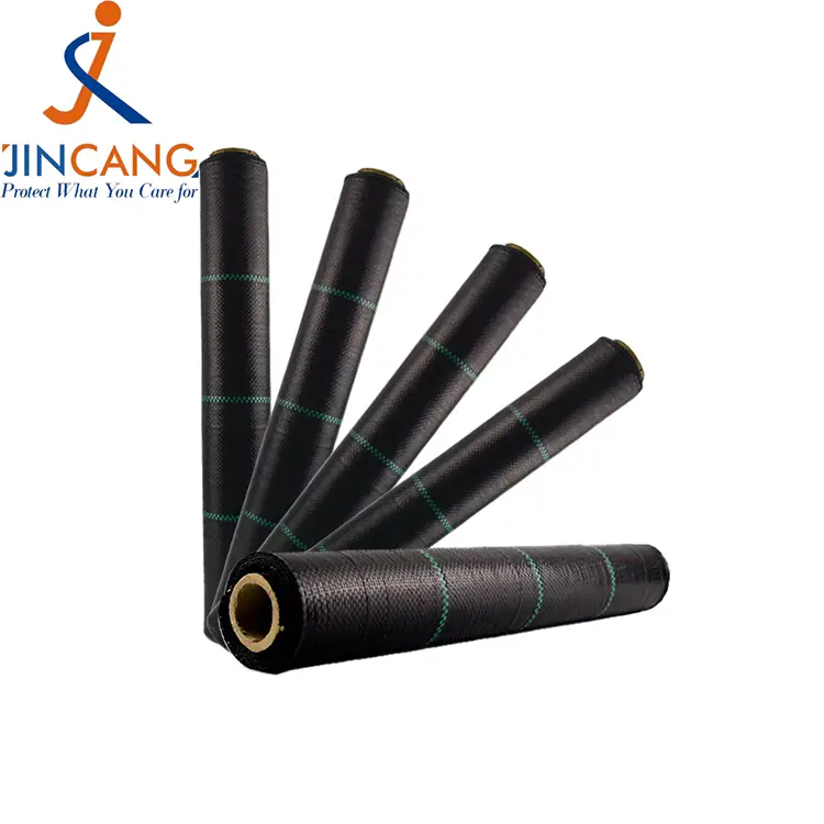 Rura viriditas Matth Rura viriditas Matth