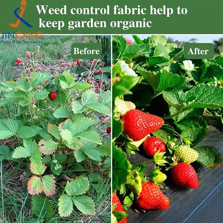 Viriditas Imperium Fabric