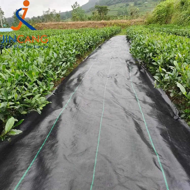 Viriditas Imperium Fabric