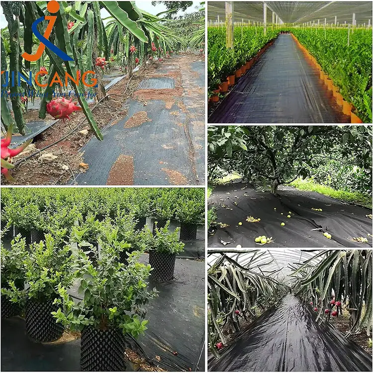 Viriditas Imperium Fabric