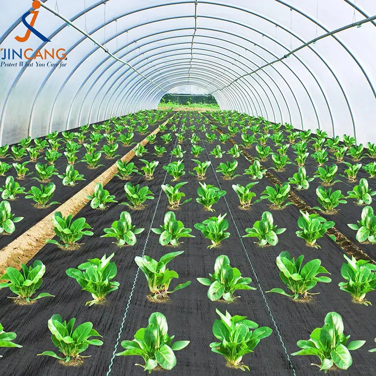 Viriditas Imperium Fabric