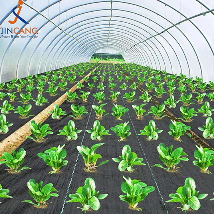 Geotextile herba obice Nigrum viriditas obice MORBUS Matth