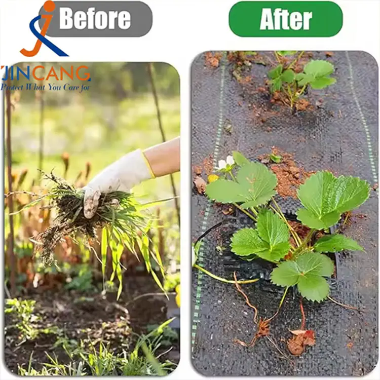 Geotextile herba obice Nigrum viriditas obice MORBUS Matth